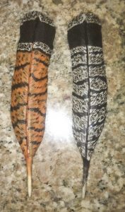 Life Size Grouse Feathers