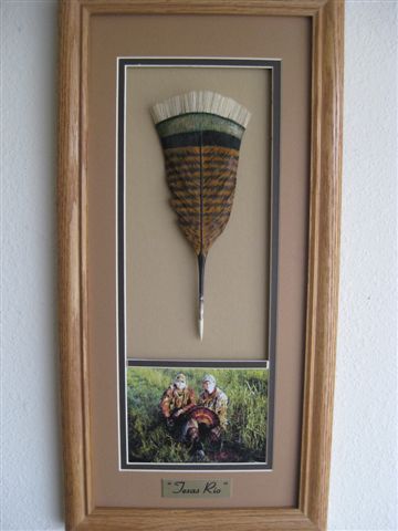 Texas Rio Turkey w/ picture. The frames I use are custom made for me. They are solid oak and have a deep rabbit to allow room for the feathers. The fringe on the feather is not wood...but a special little secret.