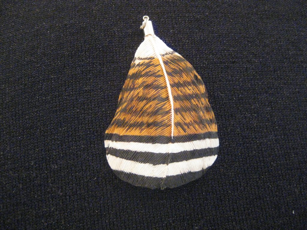 Wood Duck Side Pocket Feather Pendant