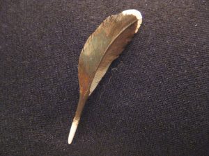 Pintail Tupelo Feather Pin. This is a one-of-a-kind hand carved original