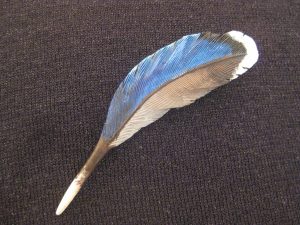 Mallard Tupelo Feather Pin. This is a one-of-a-kind hand carved original