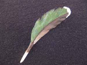 Teal hand carved original Tupelo Feather Pin. This is a one-of-a-kind hand carved original hand painted in acrylics