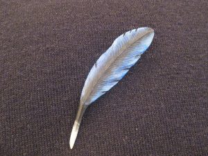 Bluebird hand carved original Tupelo Feather Pin. This is a one-of-a-kind hand carved original hand painted in acrylics