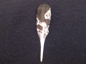Juvenile Golden Eagle Feather Pin