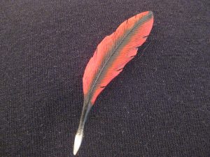 Cardinal hand carved original Tupelo Feather Pin. This is a one-of-a-kind hand carved original hand painted in acrylics