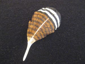 Wood Duck Side Pocket Feather Pin