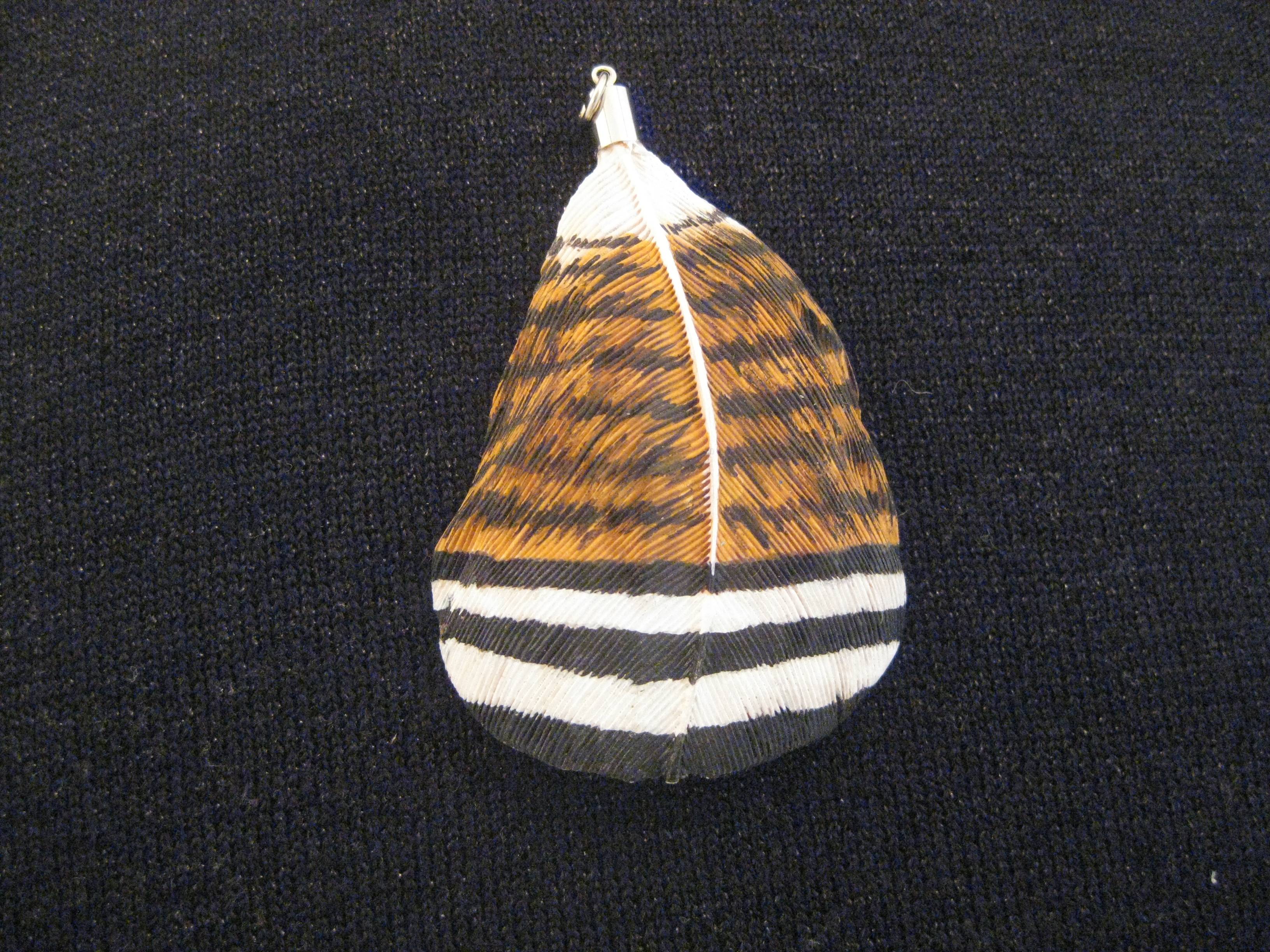 Wood Duck Side Pocket Feather Pendant